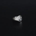 Silver Hercules Nemean Lion Greek Gods Ring, Men's Ancient Greek Mythology Jewelry, Mythological Gift   Charmora Jewelry
