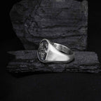 Silver Hercules Nemean Lion Greek Gods Ring, Men's Ancient Greek Mythology Jewelry, Mythological Gift