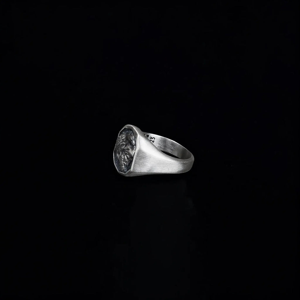 Silver Hercules Nemean Lion Greek Gods Ring, Men's Ancient Greek Mythology Jewelry, Mythological Gift   Charmora Jewelry