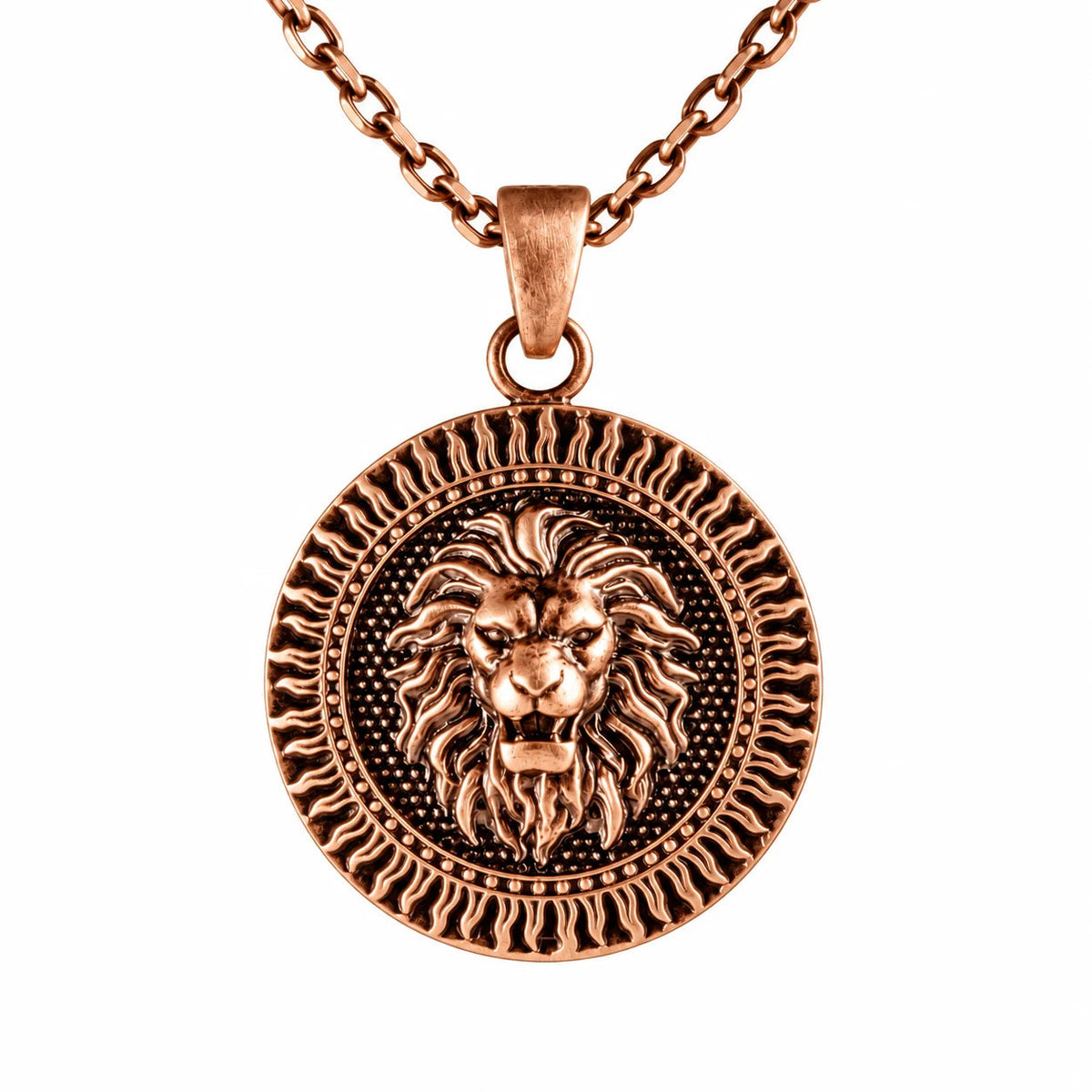 Lion Head Sun Medallion  Necklace Charmora Jewelry