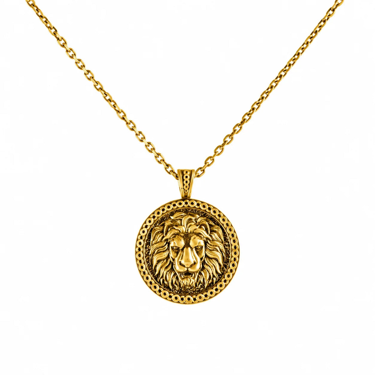 Lion Head Power Medallion  Necklace Charmora Jewelry