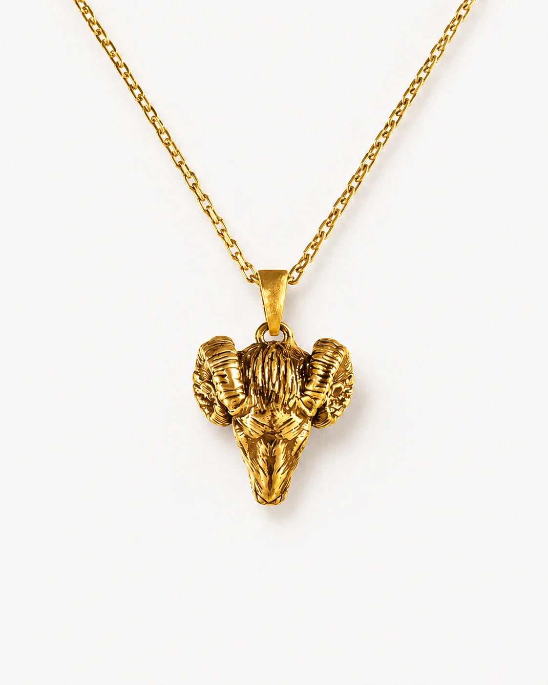 Spiral Horned Ram Skull Necklace  Necklace Charmora Jewelry