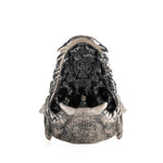 Sculpted Dragon Head Ring  Ring  Charmora Jewelry