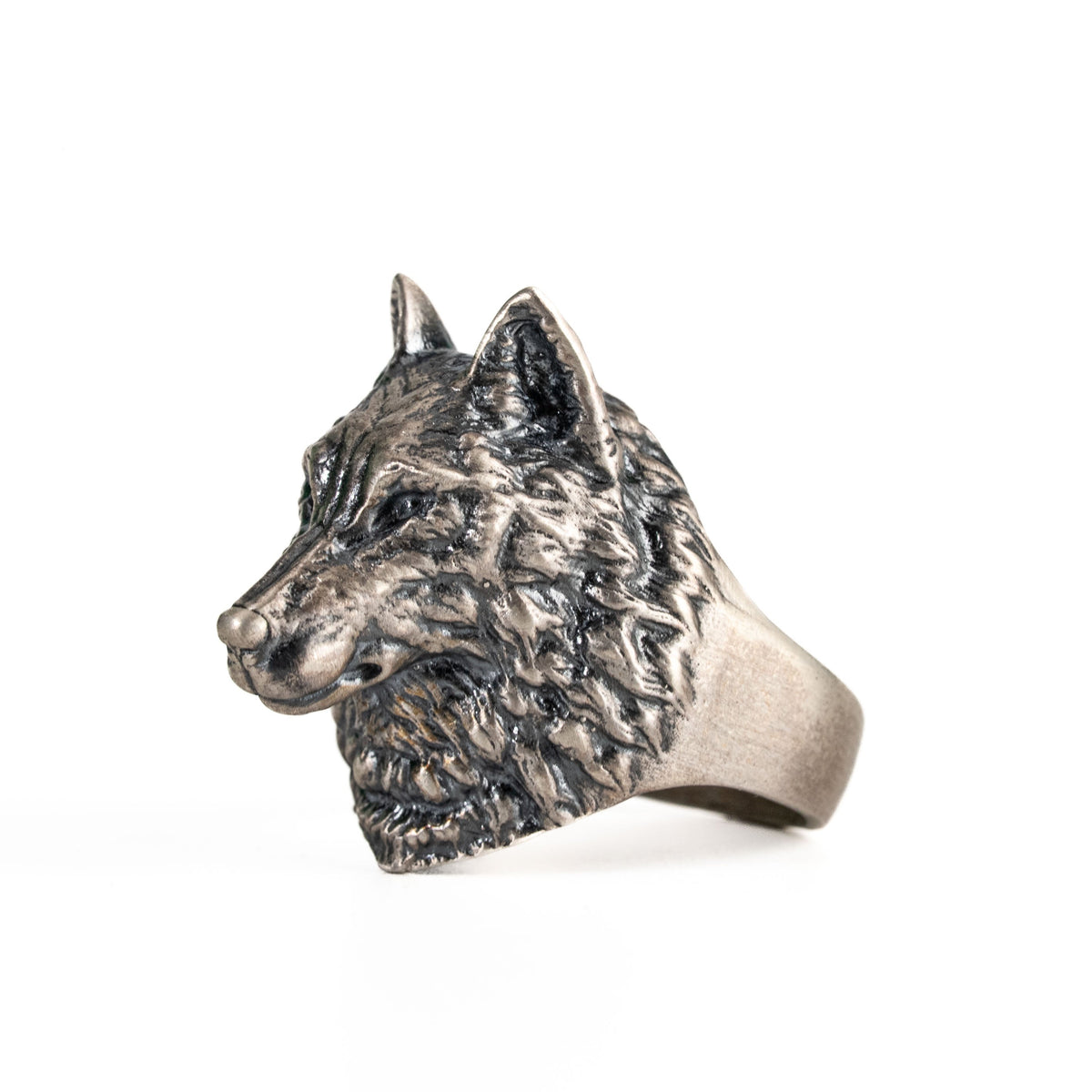 Wolf Head Relief Motif Signet Ring  Ring  Charmora Jewelry