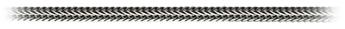 Foxtail