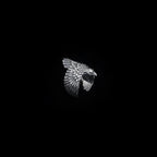 Sterling Silver American Eagle Ring: Oxidized 925 Silver Band   Charmora Jewelry