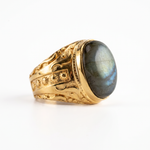Labradorite Oval Relief Motif Ring  Ring  Charmora Jewelry