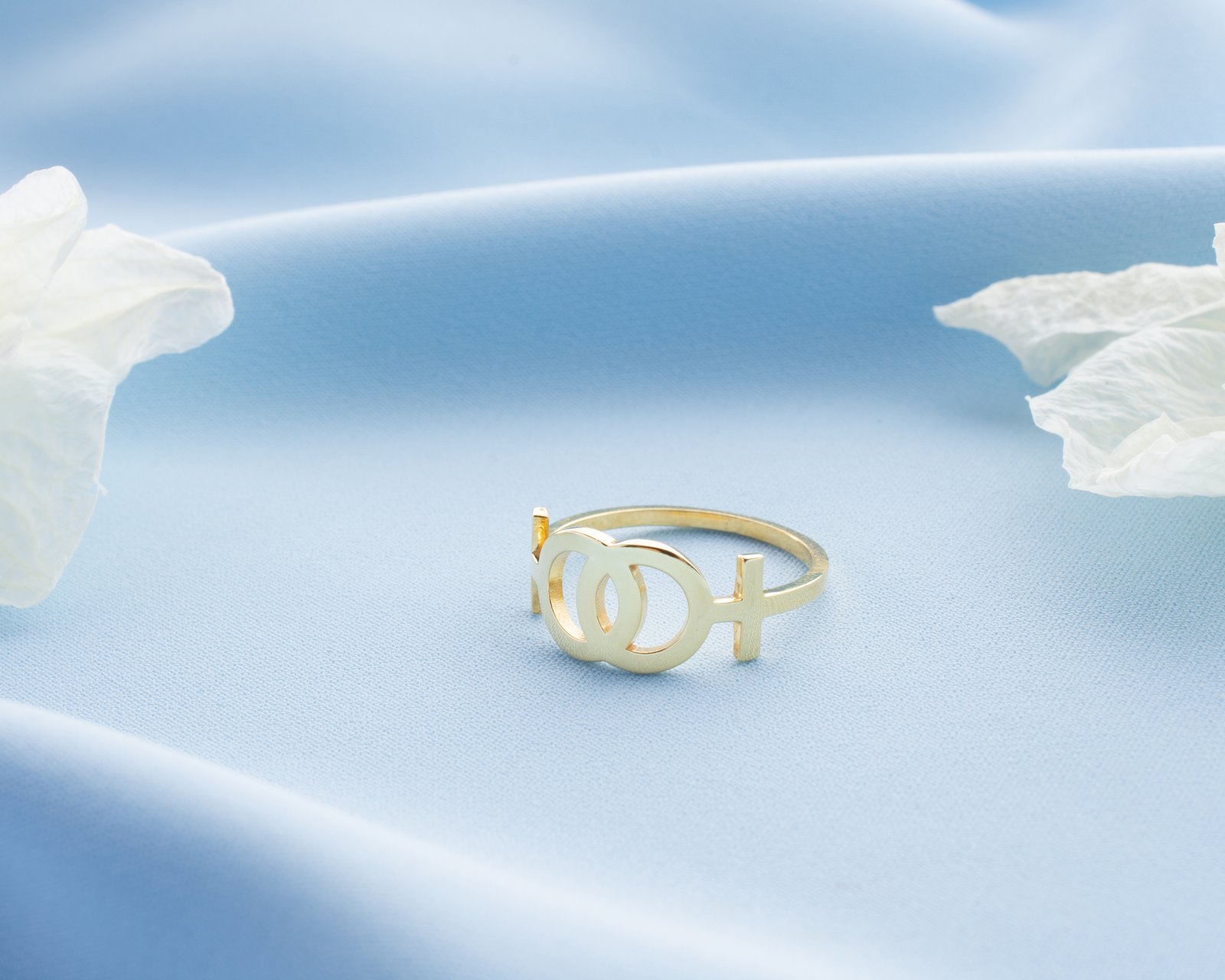 Gold-Plated Interlocking Gender Symbols Ring - Image 10